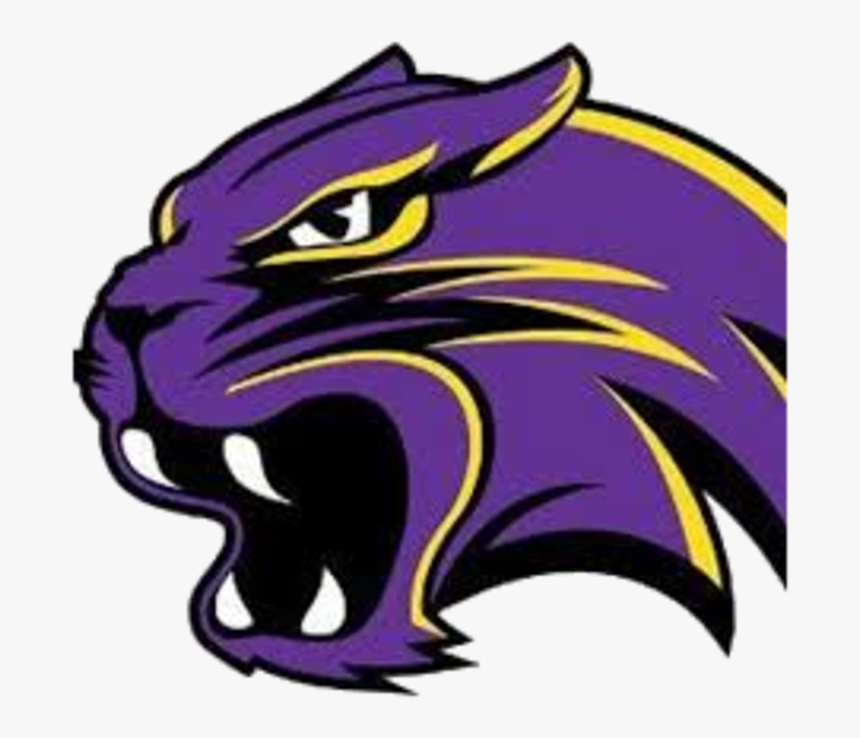 Purple Clipart Wildcat - Waconia Wildcats Football Logo, HD Png Download, Free Download