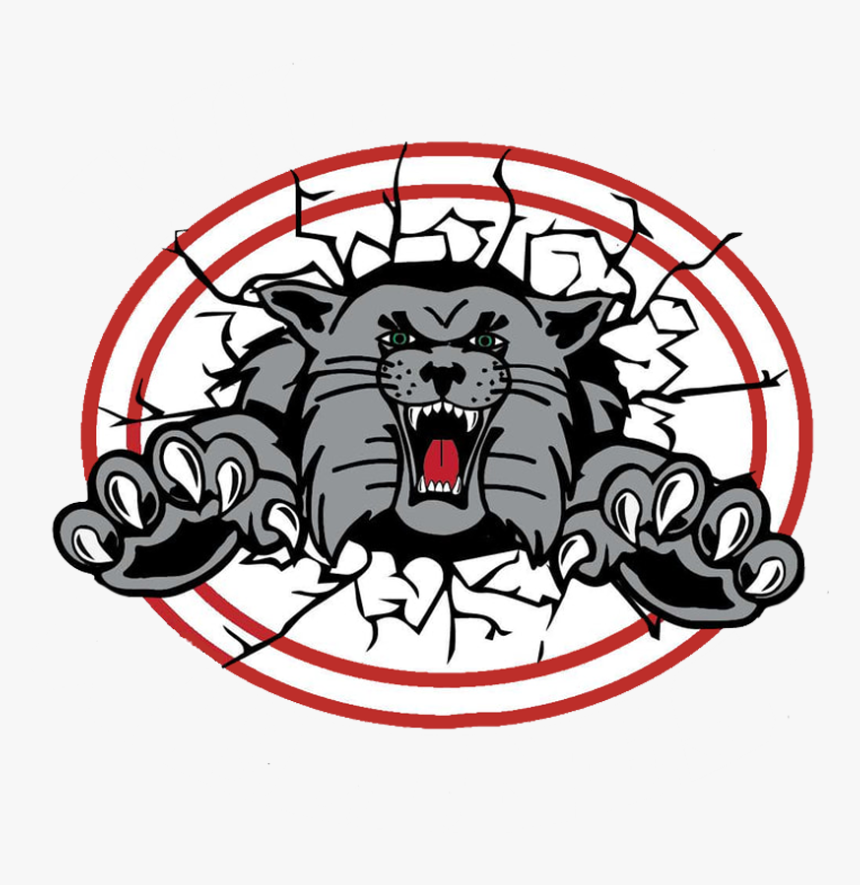 Canton South Wildcats - Canton South Wildcats Logo, HD Png Download, Free Download