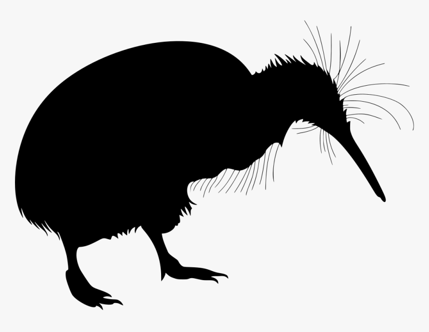 Png Kiwi Bird, Transparent Png, Free Download