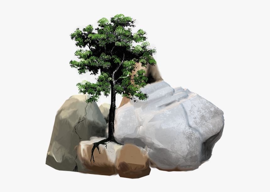 Stones, Rock, Stone, Nature, Pebble, Tree, Leaves - Tree, HD Png Download, Free Download