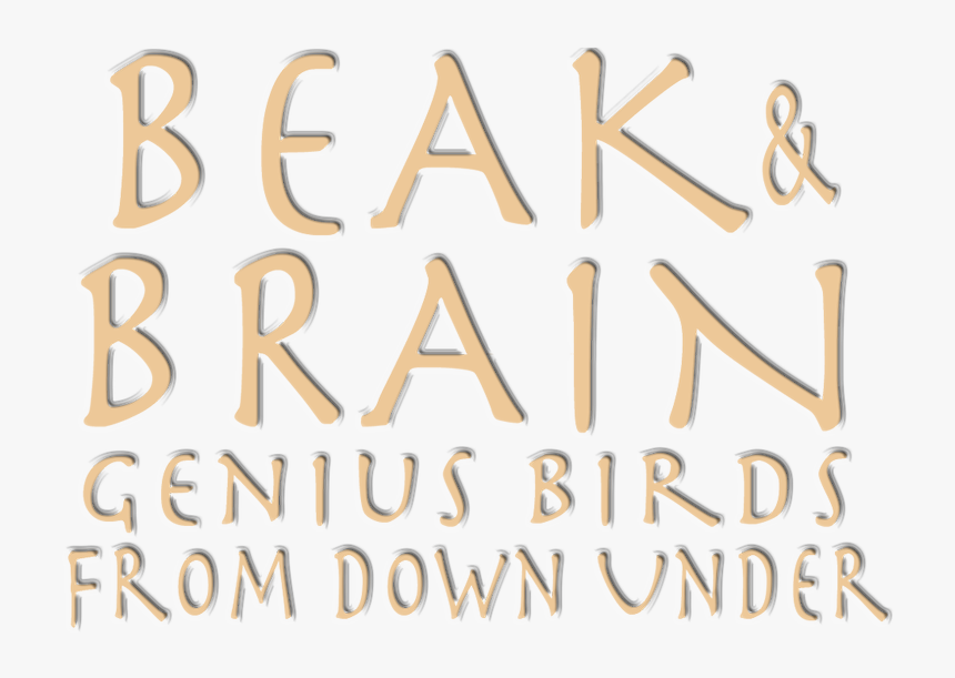 Beak & Brain - Calligraphy, HD Png Download, Free Download