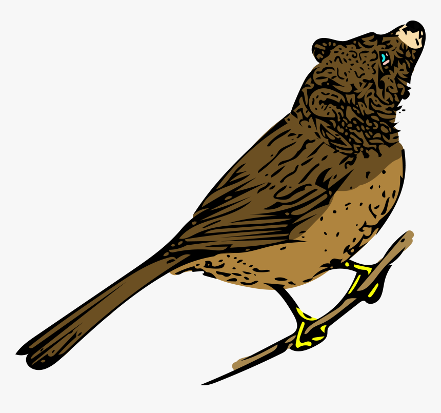 Bearbird - Perching Bird, HD Png Download, Free Download