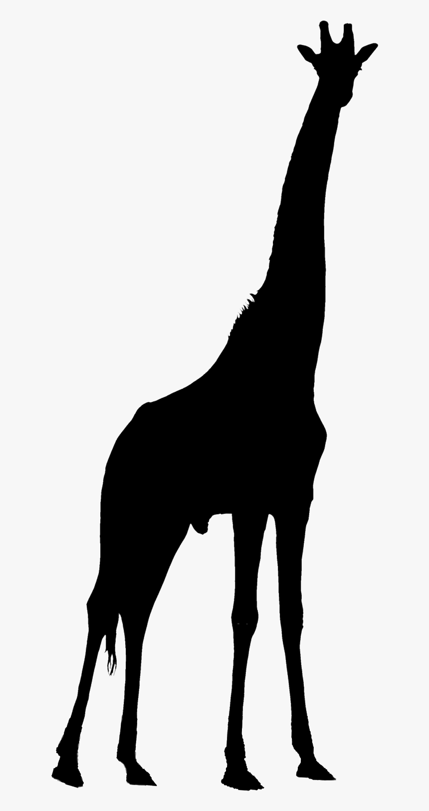 Giraffe Silhouette Png - Free Giraffe Silhouette Png, Transparent Png, Free Download