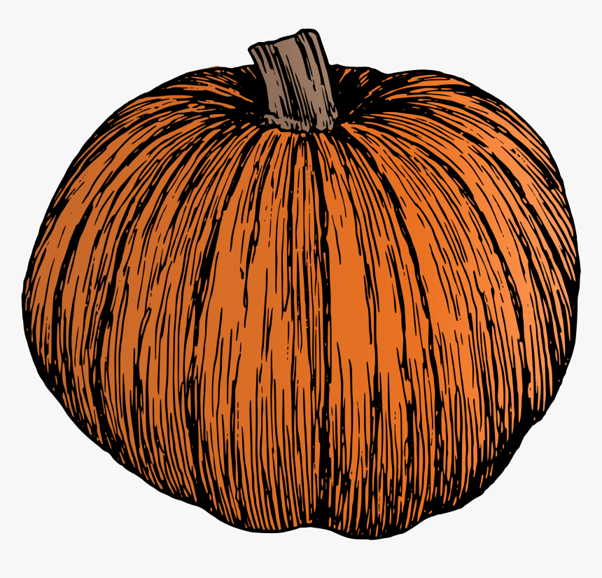 Pumpkin Drawing Transparent Background, HD Png Download, Free Download