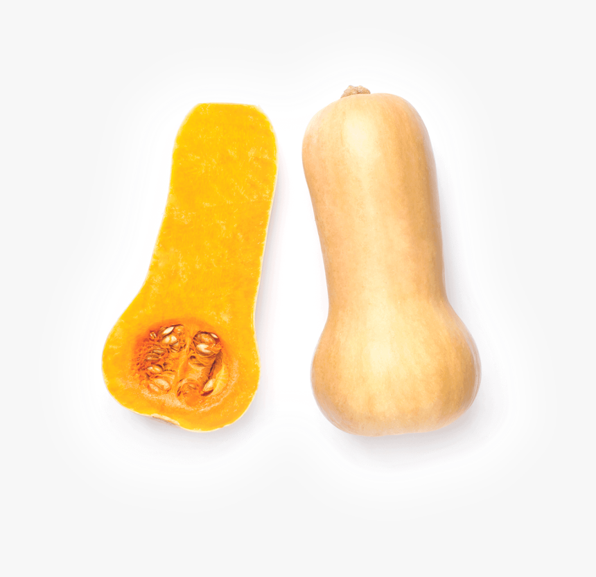 Butternut Squash, HD Png Download, Free Download