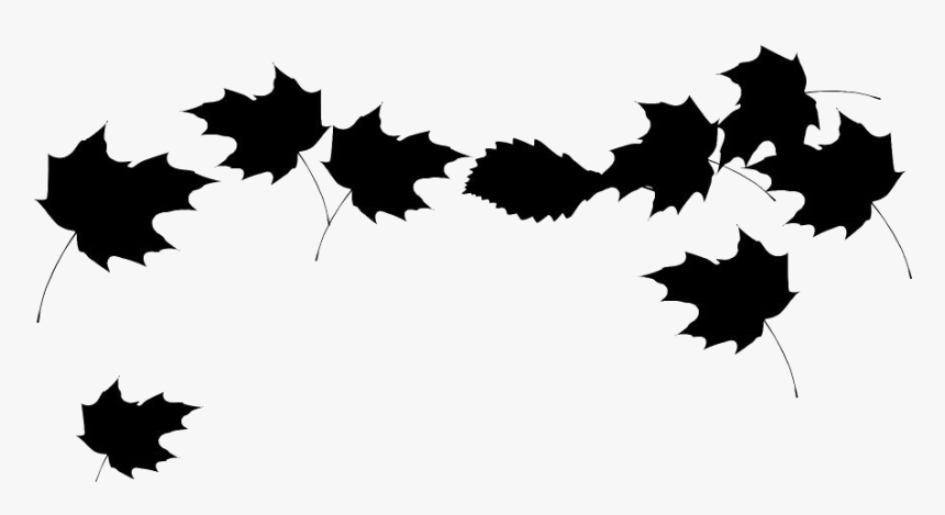 Leaves Falling From Trees Png Transparent Images - Autumn Leaves Transparent Background, Png Download, Free Download