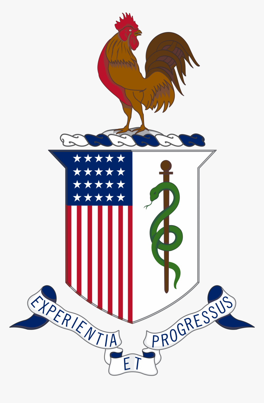 Transparent Medic Png - Us Army Medical Corps Crest, Png Download, Free Download