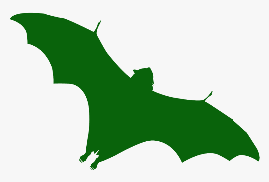 Flying Fox Silhouette, HD Png Download, Free Download
