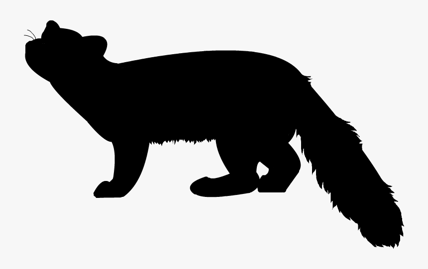 Pine Marten Silhouette - Marten Animal Image Silhouette, HD Png Download, Free Download