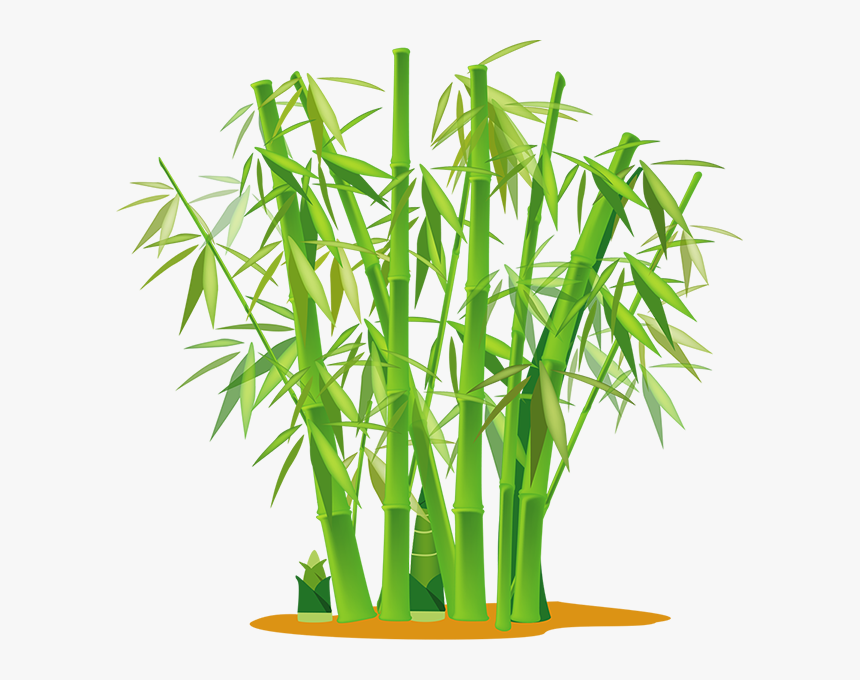 Transparent Bamboo Stick Png - Cartoon Bamboo, Png Download, Free Download