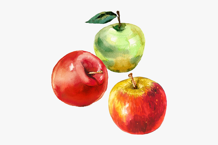 Manzanas - David Del Curto Frutas, HD Png Download, Free Download