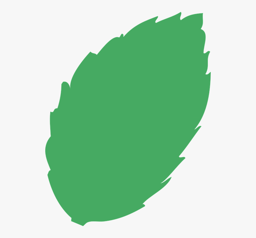 Leaf, Tree, Green Waste - Folha De Arvore Png, Transparent Png, Free Download