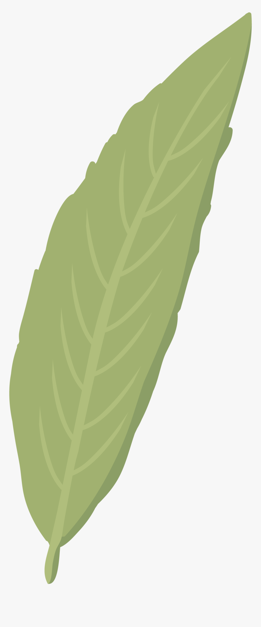 Hoja De Sauce Png, Transparent Png, Free Download