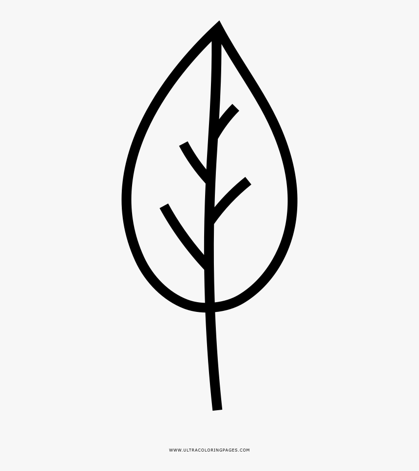 Tree Leaf Coloring Page - Drawing, HD Png Download, Free Download