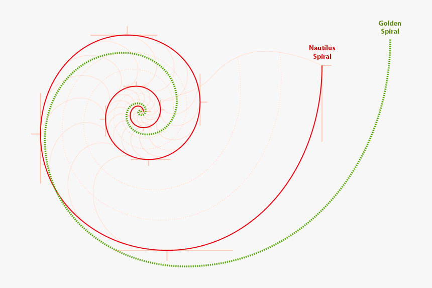 2010 Nbyn About Naut Vs Fib - Spiral, HD Png Download, Free Download