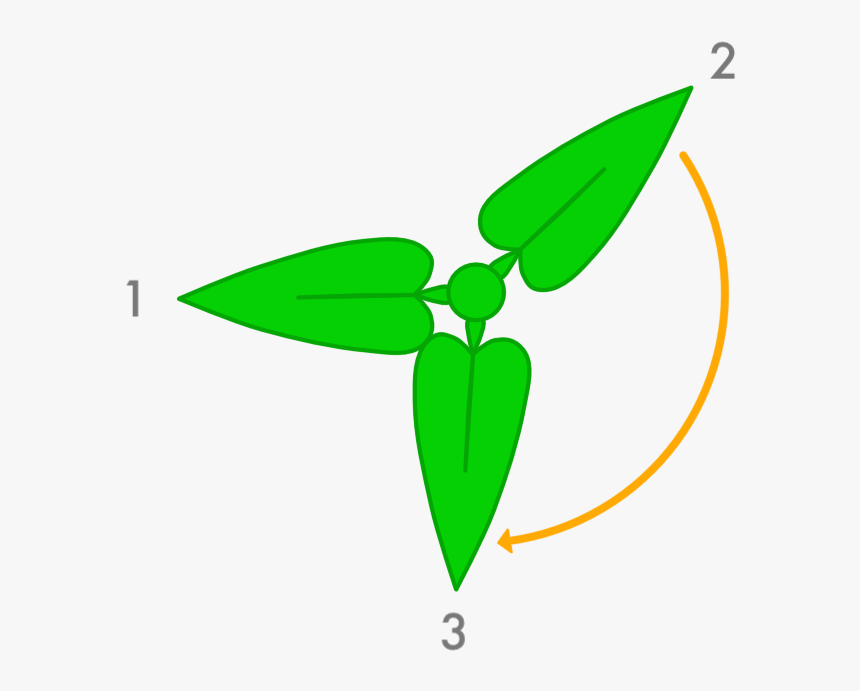 Leaf Growth - Golden Ratio Plant Leaves, HD Png Download, Free Download