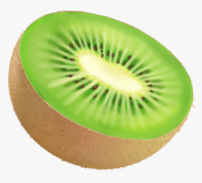 Clip Art Kiwi Fruit Clipart - Portable Network Graphics, HD Png Download, Free Download