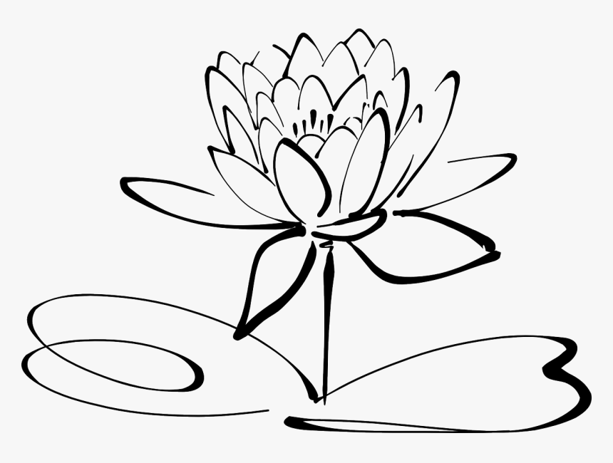 Lotus Flower Line Art Free Photo - Lotus Flower Clipart Black And White, HD Png Download, Free Download