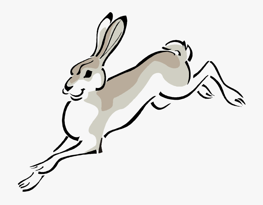 Free Rabbit Clipart - Jack Rabbit Clipart Free, HD Png Download, Free Download