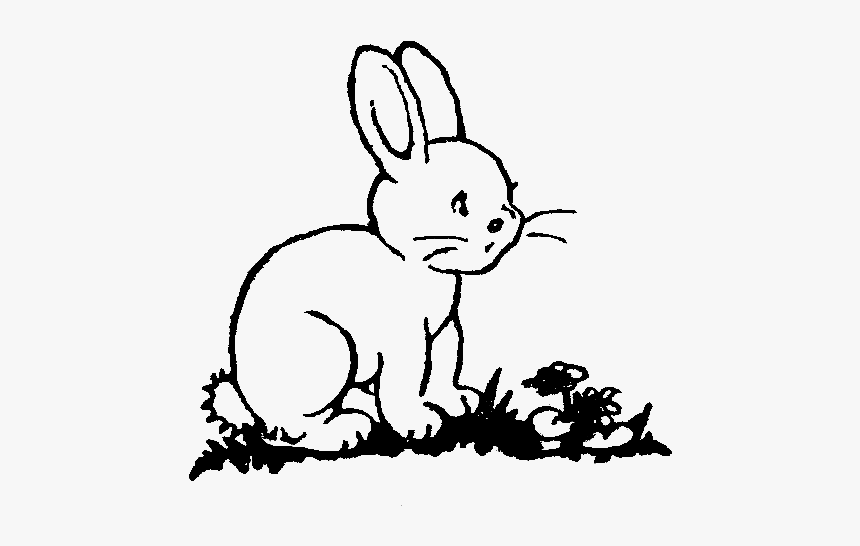 Bunny Clipart Printable - Cliparts Of Black And White Rabbit, HD Png Download, Free Download