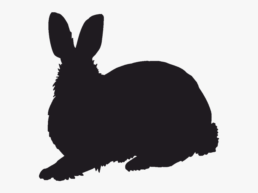 Domestic Rabbit Clipart Domestic Rabbit Hare Whiskers - Free Png Rabbit Silhouette, Transparent Png, Free Download