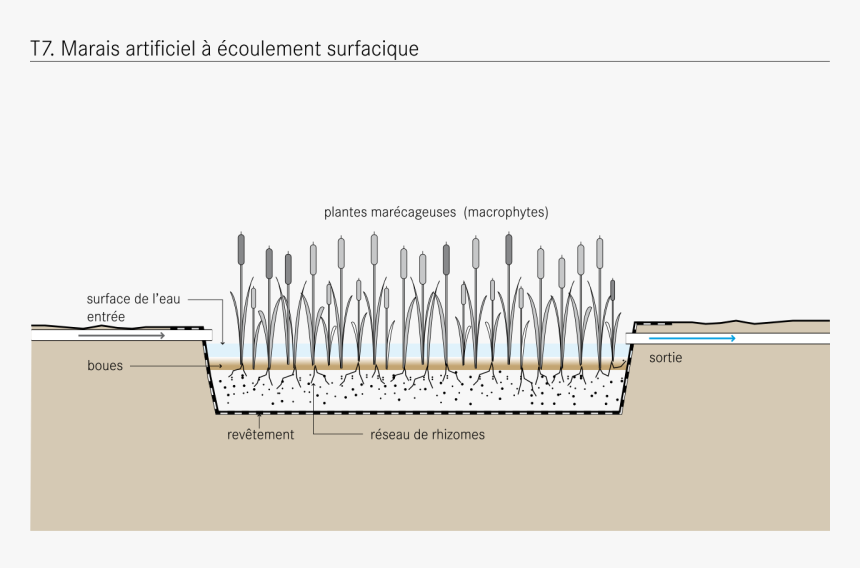 Flow Constructed Wetland, HD Png Download, Free Download