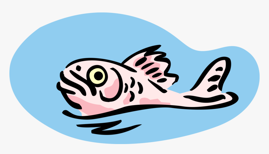 Vector Illustration Of Surfacing Fish Swims On Water, HD Png Download, Free Download