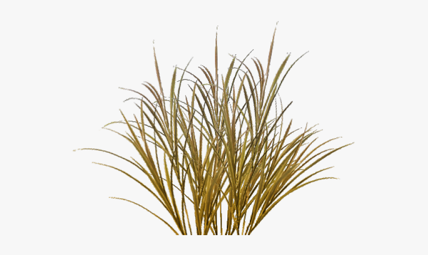 Grass Texture Png, Transparent Png, Free Download