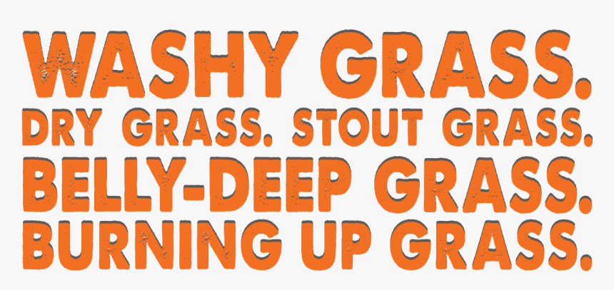 Washy-grass - Poster, HD Png Download, Free Download