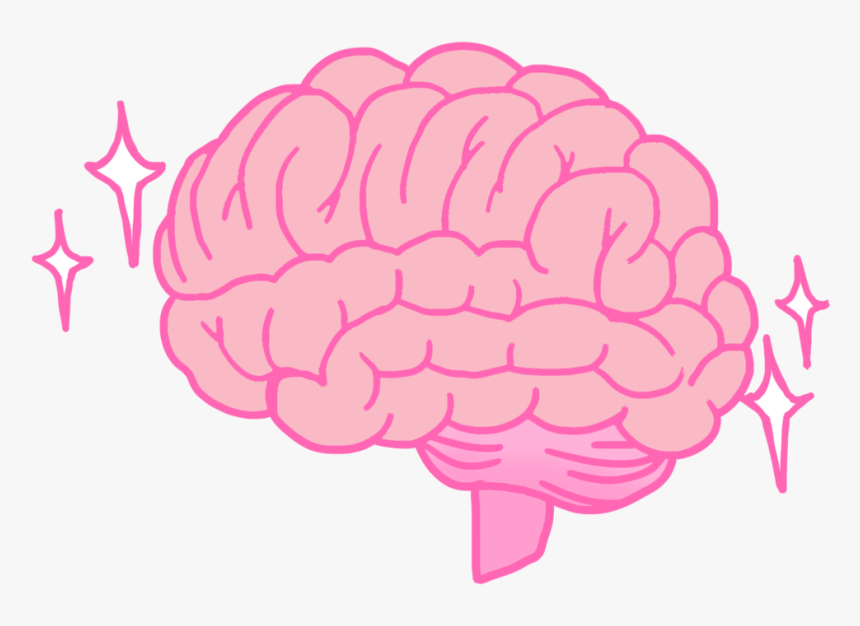 Brain Icon, HD Png Download, Free Download