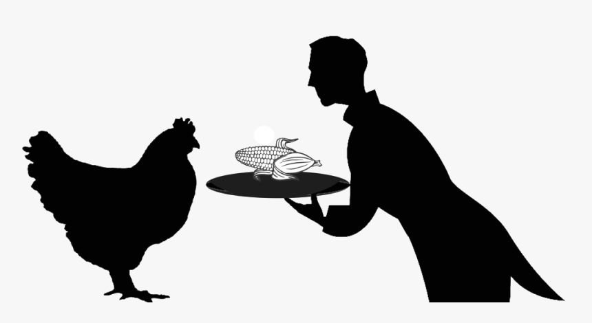 Chicken Silhouette Png - Black Silhouette Chicken Clipart, Transparent Png, Free Download