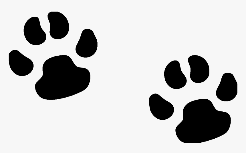 Transparent Dog Paw Prints Png, Png Download, Free Download