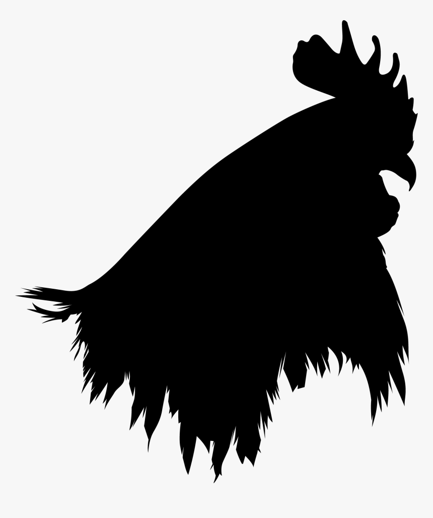 Bird Vector, HD Png Download, Free Download