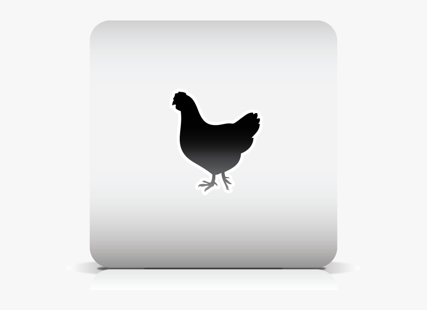 Rooster, HD Png Download, Free Download