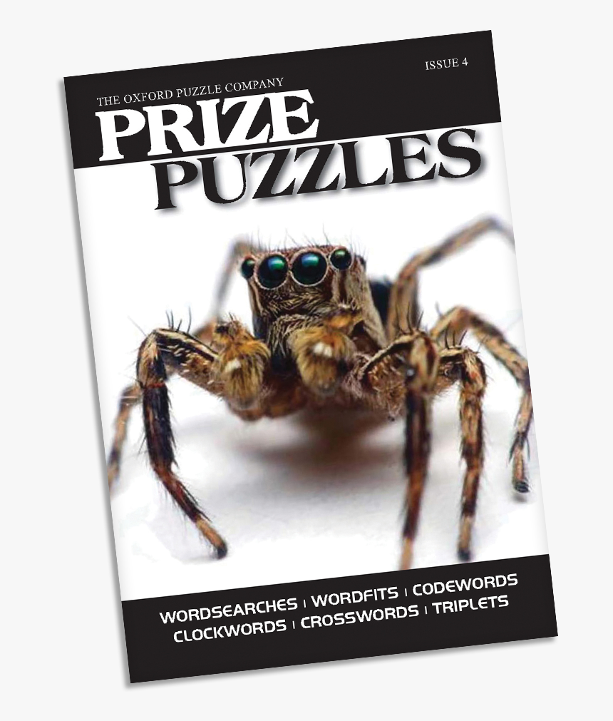 Transparent Wolf Spider Png - Got Spider, Png Download, Free Download