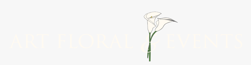 Art Floral & Events - Giant White Arum Lily, HD Png Download, Free Download