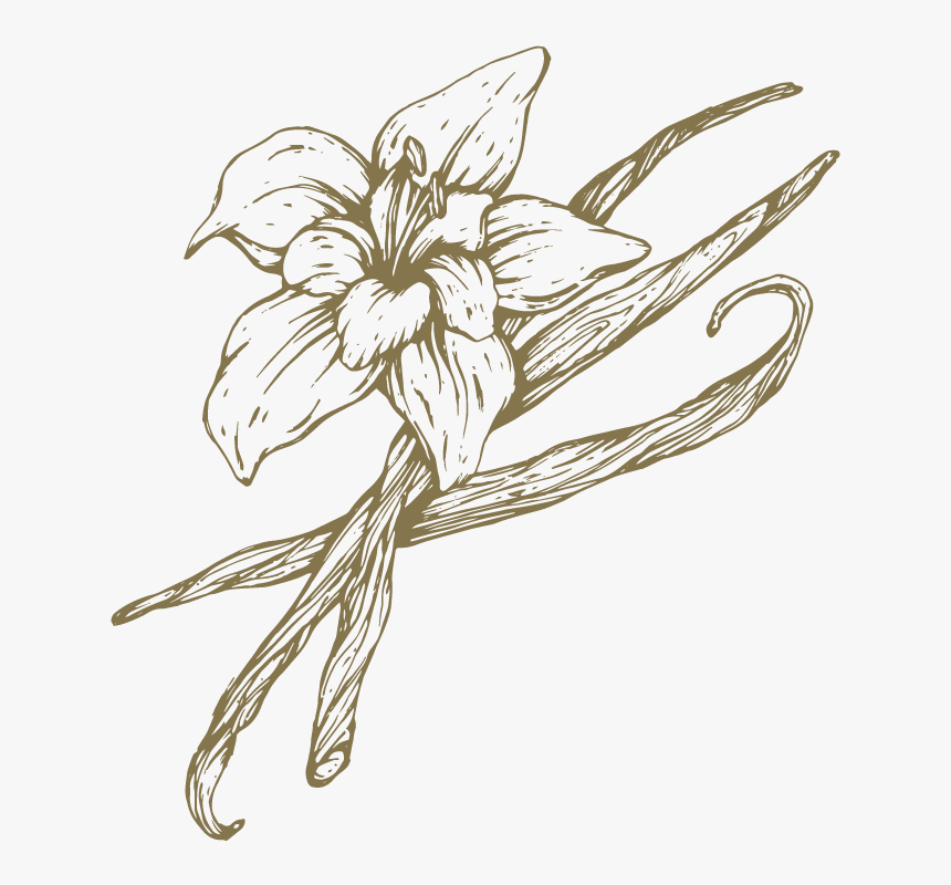 Lily, HD Png Download, Free Download