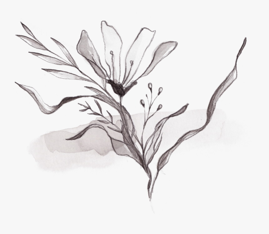 Sketch, HD Png Download, Free Download