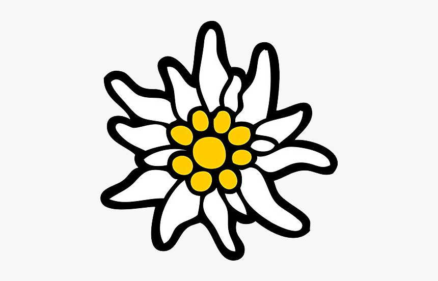 Edelweiss Png - Edelweiß Png, Transparent Png, Free Download
