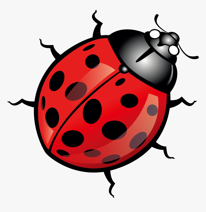Transparent Ladybug Clipart Png - Insect Clip Art Free, Png Download, Free Download
