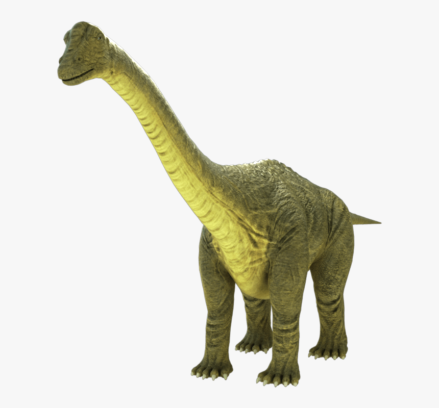 Brontosaurus Apatosaurus - Brontosaurus Png, Transparent Png, Free Download