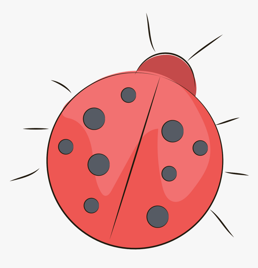 Ladybug, HD Png Download, Free Download