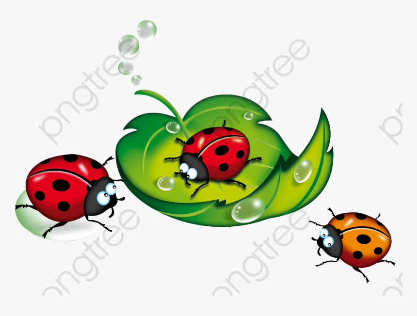 Ladybug Clipart Vintage - Transparent Background Ladybugs Clip Art, HD Png Download, Free Download