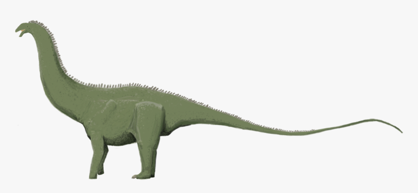 Transparent Brontosaurus Png - Crocodile, Png Download, Free Download