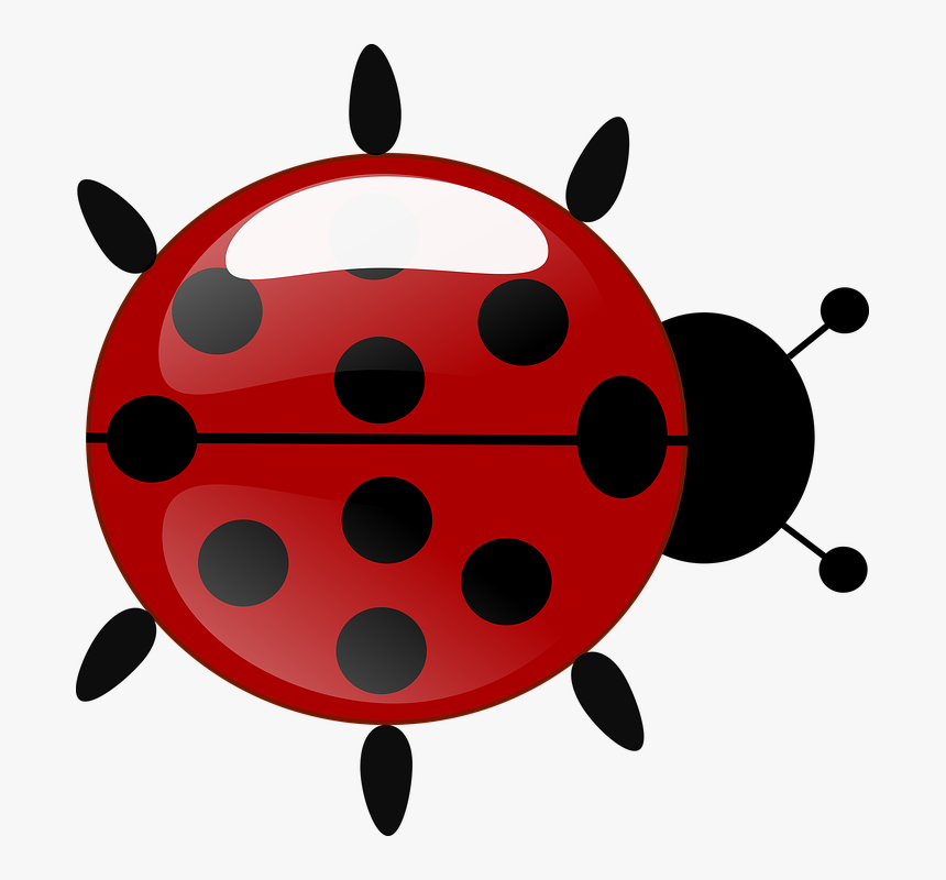 Cute Ladybug Clipart 13, Buy Clip Art - Transparent Background Ladybug Clip...