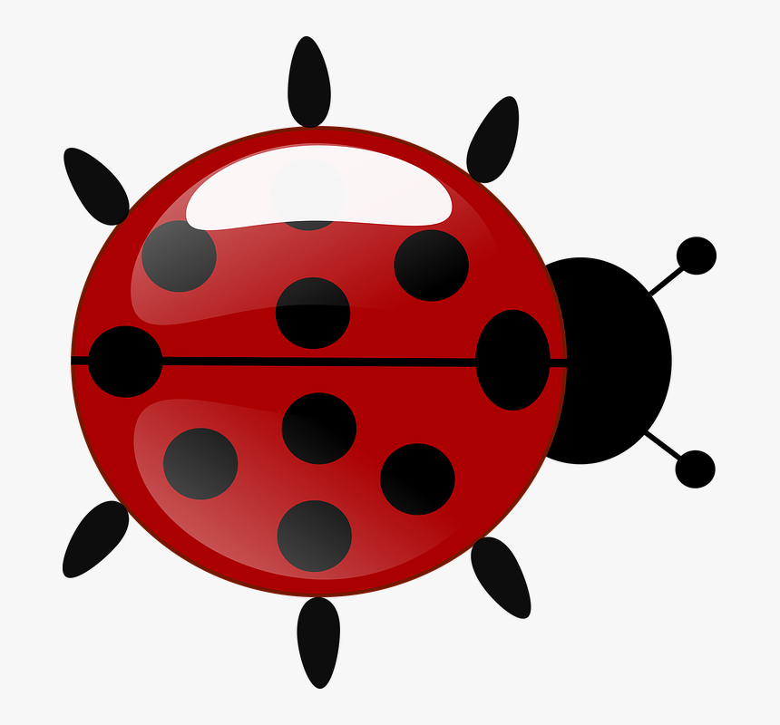 Cute Ladybug Clipart 13, Buy Clip Art - Transparent Background Ladybug Clipart, HD Png Download, Free Download