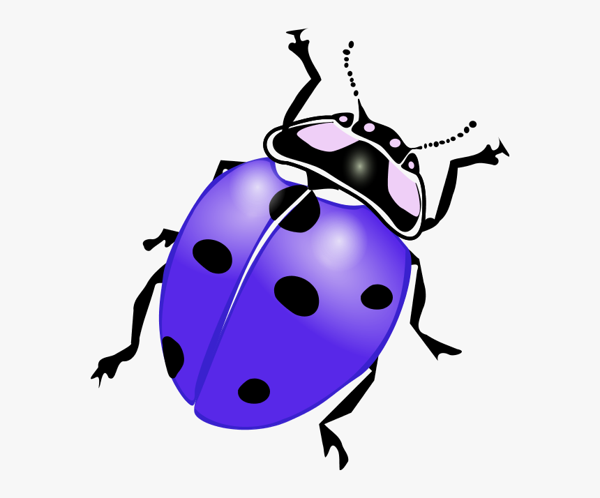 Ladybug Clipart Purple - Ladybug Clipart, HD Png Download, Free Download