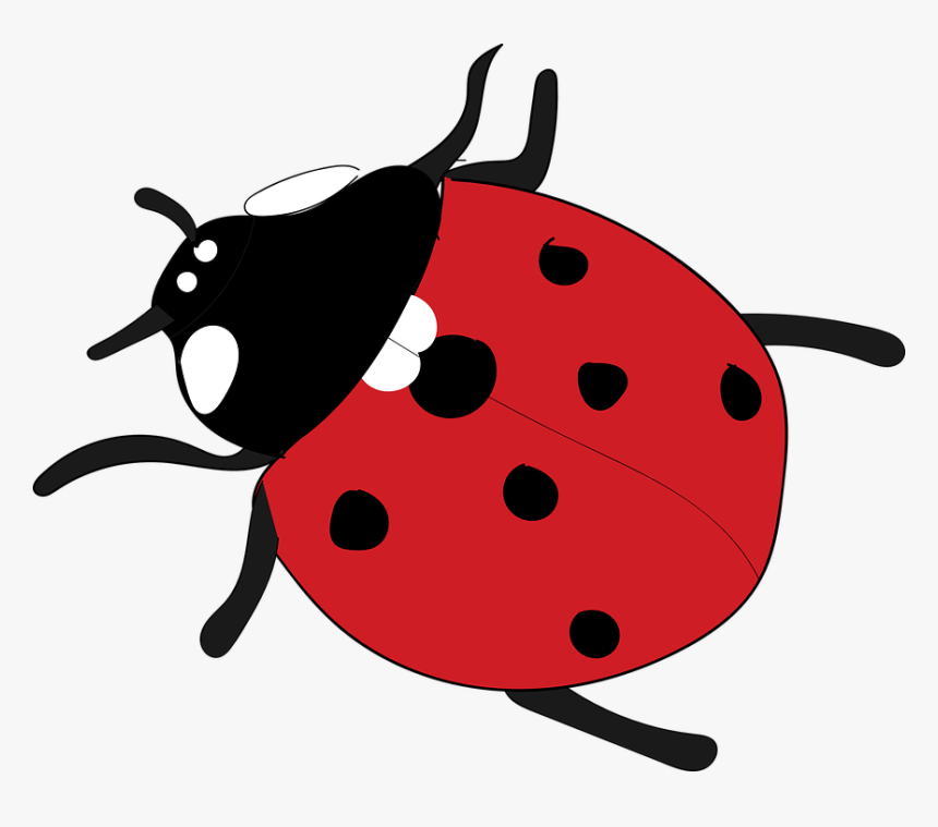 Baby Ladybug Cliparts 15, Buy Clip Art - Hình Ảnh Con Bọ Dừa, HD Png Download, Free Download