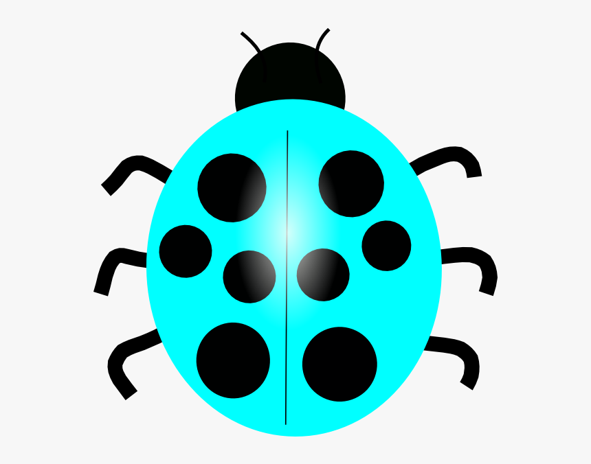 Transparent Ladybug Clipart Png - Colorful Lady Bug Clip Art, Png Download, Free Download