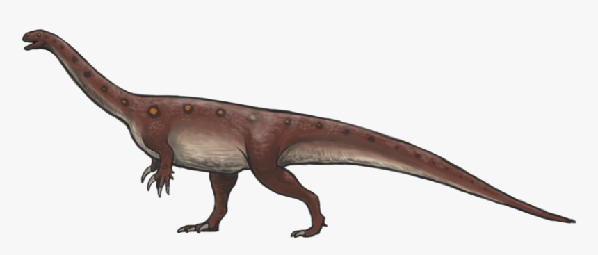 Massospondylus Reconstruction - Lesothosaurus, HD Png Download, Free Download